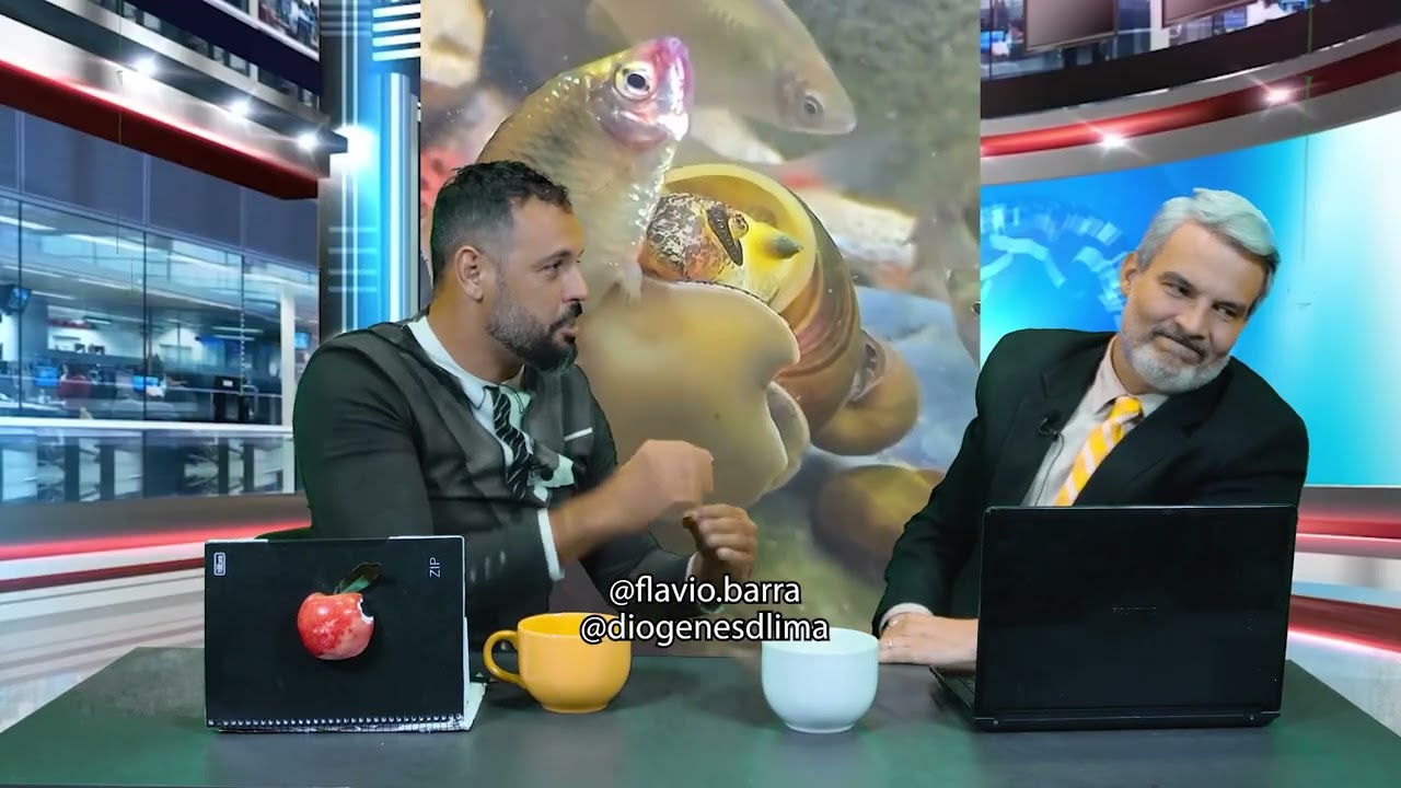 Depois do bola gato, a vez agora é do bola peixe. O da espécie Cambimba é destaque no Barra News…👀🐠😂