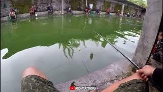 Story wa memancing ikan