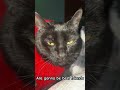 Will you be tom”s friend