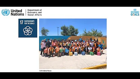 Goal 17 highlights from The Sustainable Development Goals Report 2025