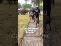 Change The Human Change The Dog #dog #dogtraining #pet #presacanario