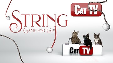 CAT TV Games | It