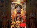 Jay jagannath 🙏🏾⭕‼️⭕......