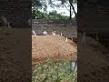 let's enjoy the beauty of natural world