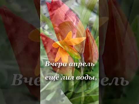 Вот и Май пришёл неслышно!