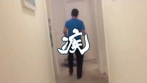 Basically EVERY Shulk main.