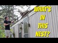 REMOVING AN OLD PORCH - Remodeling A Mobile Home - (part 4)