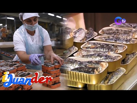 Sardinas, itinuturing na delicacy sa Portugal! | I Juander