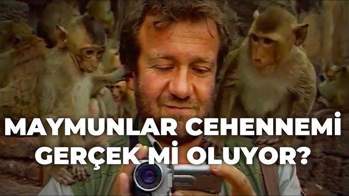 Maymunlar orasida yalangoch Maymunlar orasida yalangoch