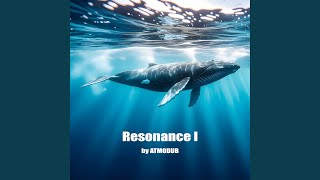 Resonance I