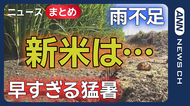 【コメ】「田んぼに必要な水が…」戸惑うコメ農家 西日本で梅雨明け /「コメ生産者は不安」小泉農水大臣にJA福井会長が苦言 など【ニュースまとめ】(2025年6月24日～29日) ANN/テレ朝