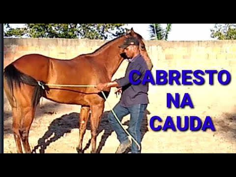 Vídeo: Como Você Conseguiu Esse Show: Guia A Cavalo Na Espanha - Matador Network