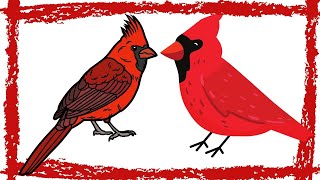 15 Minutes Northern Cardinal Song [Soothing & Lively]