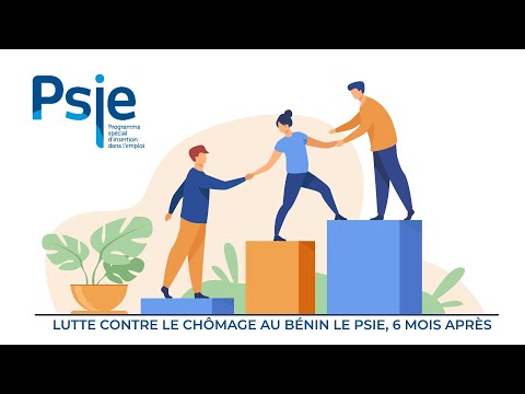 LUTTE CONTRE LE CHÔMAGE AU BÉNIN LE PSIE, 6 MOIS APRÈS…