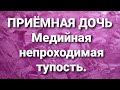 Анастасия влоги студентки/Медийные новости.