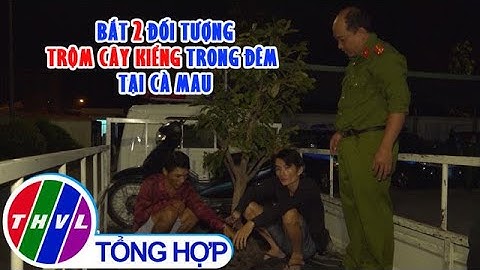 Bắt 2 đối tượng trộm cây kiểng trong đêm tại Cà Mau