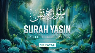 Most Beautiful Heart Touching Quran Recitation | Surah Yaseen (Yasin) سورة يس | Zikrayah