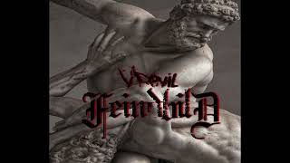 VDevil - Feindbild