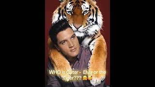 Celebrity This Rare Elvis and Tiger Photo Will Make You Question Everything! Wealth