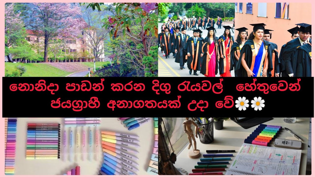motivation-video-in-sinhala-motivation-supplies-srilankan-university