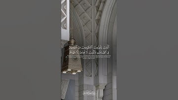 تلاوة حدرية بديعة للشيخ #ناصر_العصفور من #سورة_التوبة #قران #قران_كريم #جامع_الراجحي