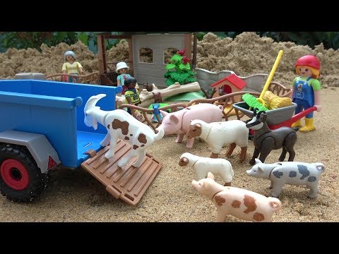 Animals
