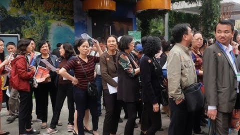 Thày Bình chữa rụng tóc - bạc tóc - hói đầu