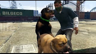 Mr. Chop sexy boy GTA 5 or How Mr. Chop did it Мр Чоп жарит утку Mr. Chop sexy boy GTA 5 or How Mr. Chop did it Мр Чоп жарит утку