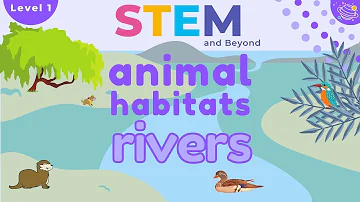 Animal Habitats | Rivers | KS1 Science Resources