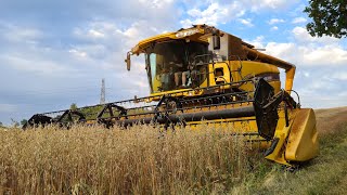 Harvesting oats at the farm