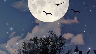 Beautiful wallpaper making #picsart screenshot 5