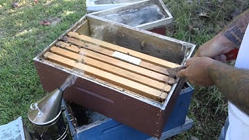 SPLITTING=LATE=SEPT.=11=th