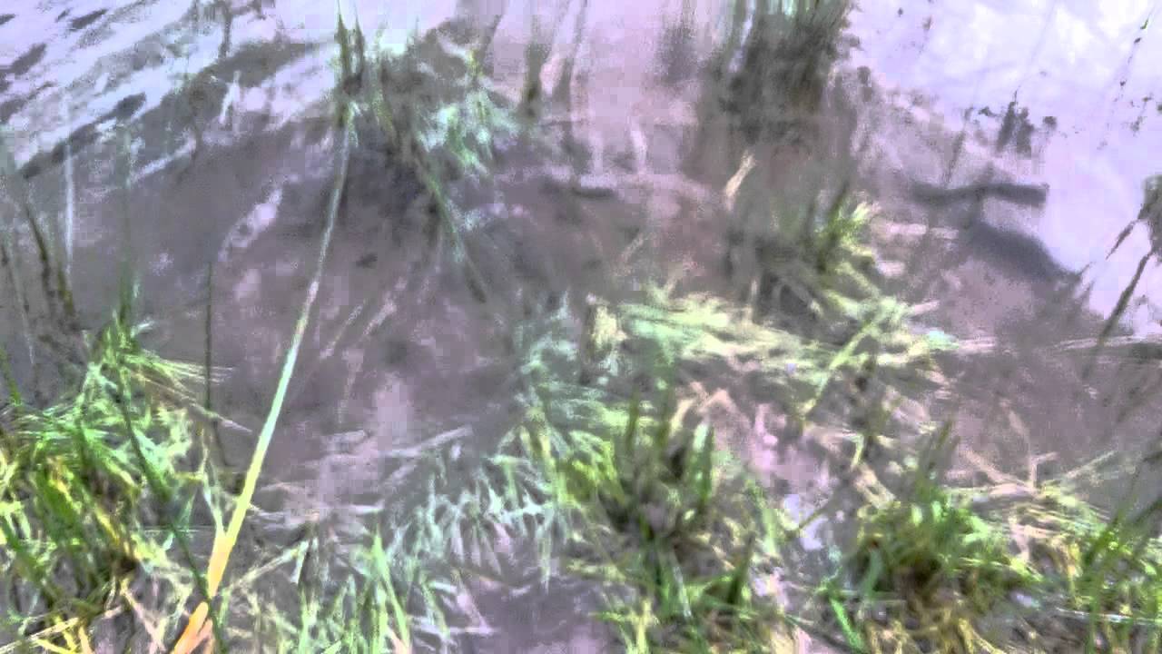 camera iphone 8 plus apk 101 0149