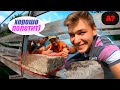 СКИНУЛИ ОГРОМНЫЙ КАМЕНЬ В РЕКУ!/ 1 ДЕНЬ ИЗ ЖИЗНИ...!!!