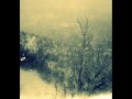 Still Light - Through the grain