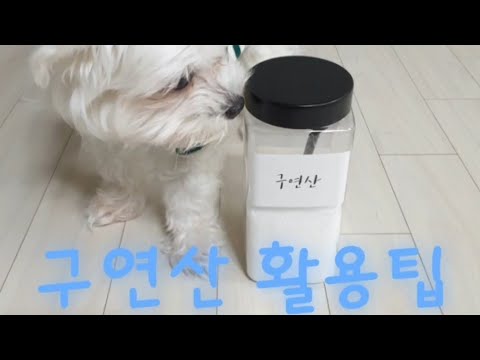 돌쇠랑Vlog/구연산 활용팁/천연세제/미니멀라이프#강아지#천연세제#구연산