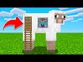 Hiding A SECRET Base With SHEEP In Minecraft!