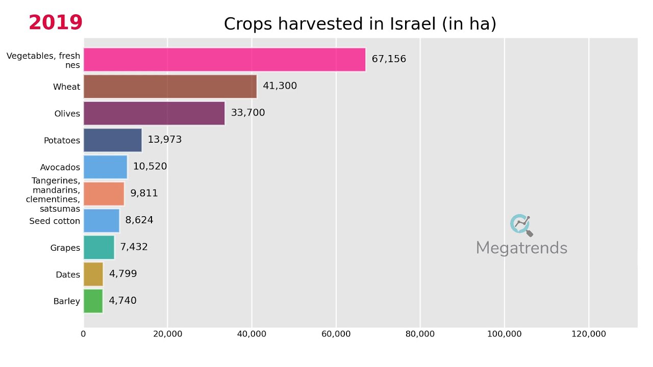 Top 10 Crops harvested in Israel (1961 - 2019) - YouTube