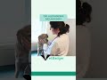 Creating a Solution for Burn Out | Daring DVM