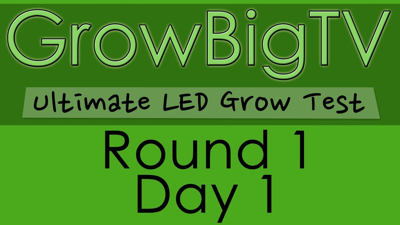 GrowBigTV Ultimate LED Test (Round 1) : Day 1