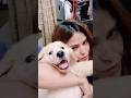 tillu ki Masti #shortvideo #song #shorts #trending #viral #viralvideo #pets #puppy #petlover #video