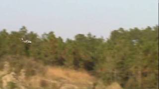 F-35 EDF landing roll