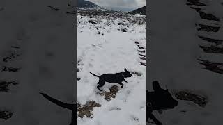 Snow in Devore, CA. February 26, 2023