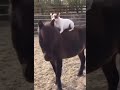 Поехали