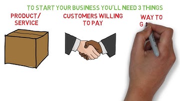 The $100 Startup Summary - Chris Guillebeau (Animated)