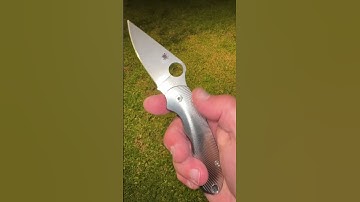 The RG Custom Metal Works Para textured Ti scales & clip on my Spyderco knife are simply stunning!