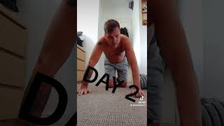 day 2 -12  sorry slightly hungover today #pushup #pushupchallenge