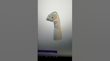 1st prize swapped basics secret room