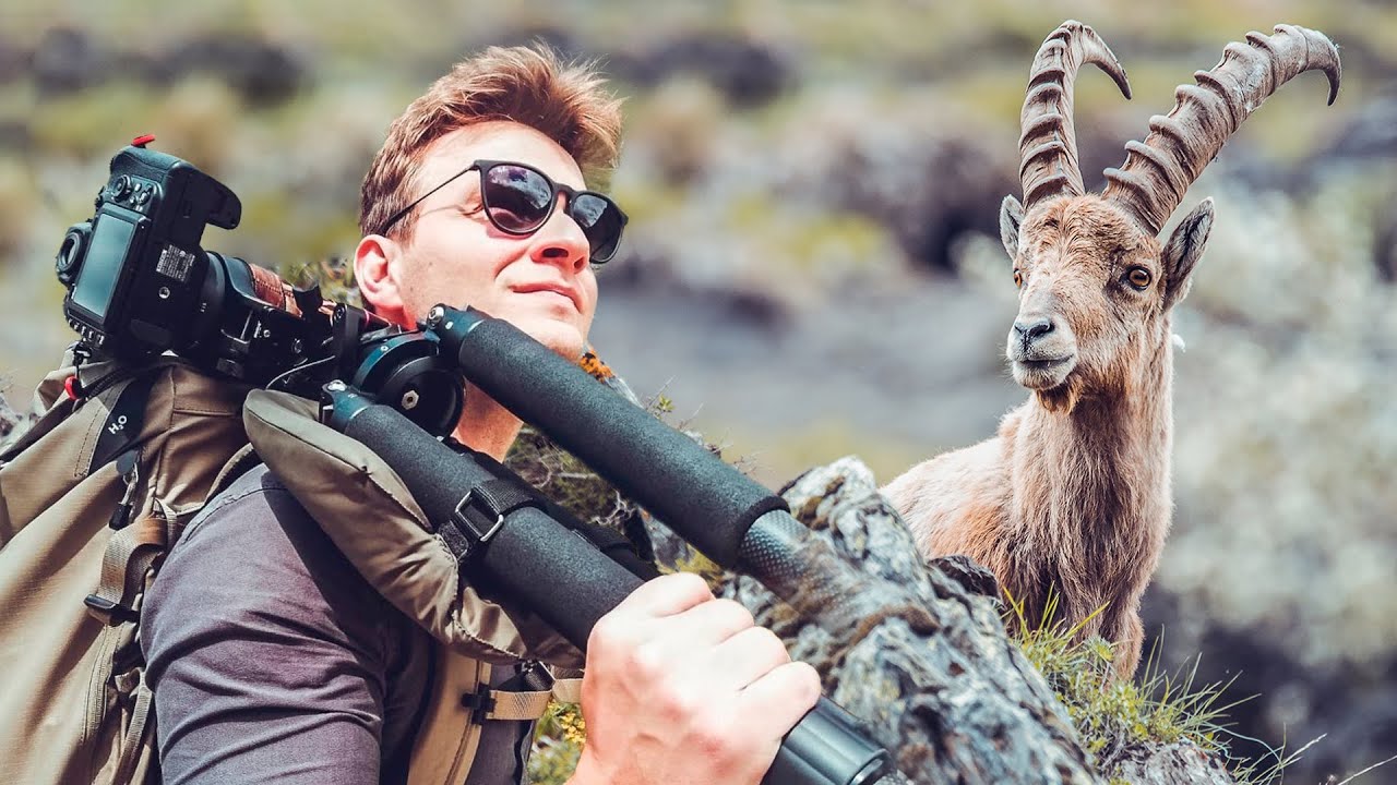 Un méga comparatif trépied photo nature et animalier - 2021