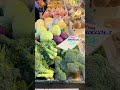 Farm Aid visits the Pasa Sustainable Agriculture Conference